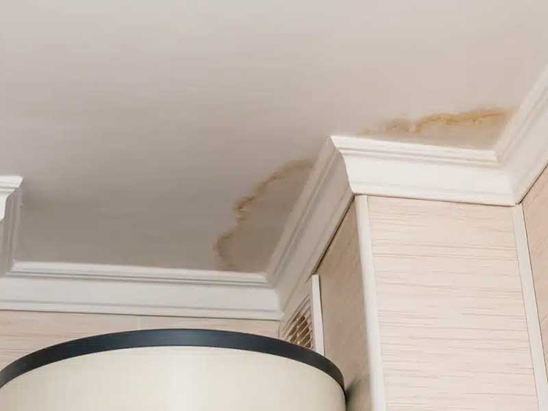 Water Damaged Ceiling
