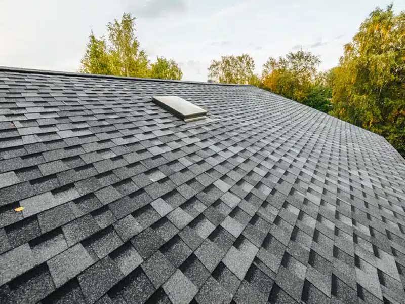Roof with shingles