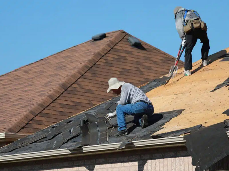 Roofers Removing Old Shingles
