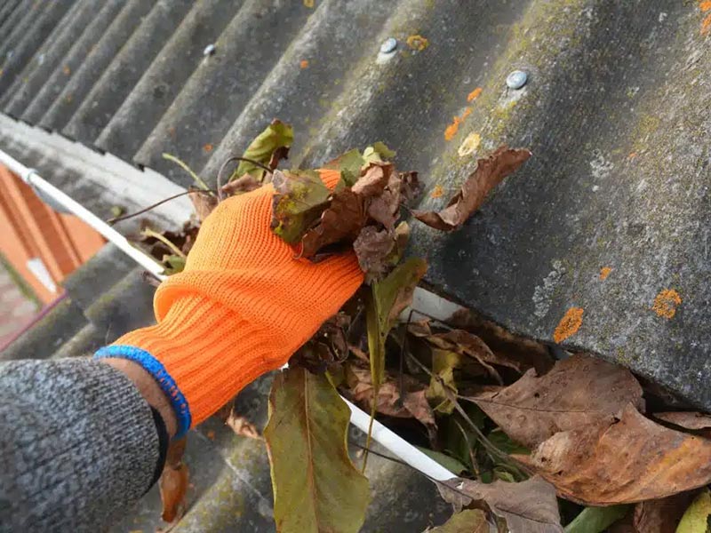 Cleaning a Blocked Rain Gutter